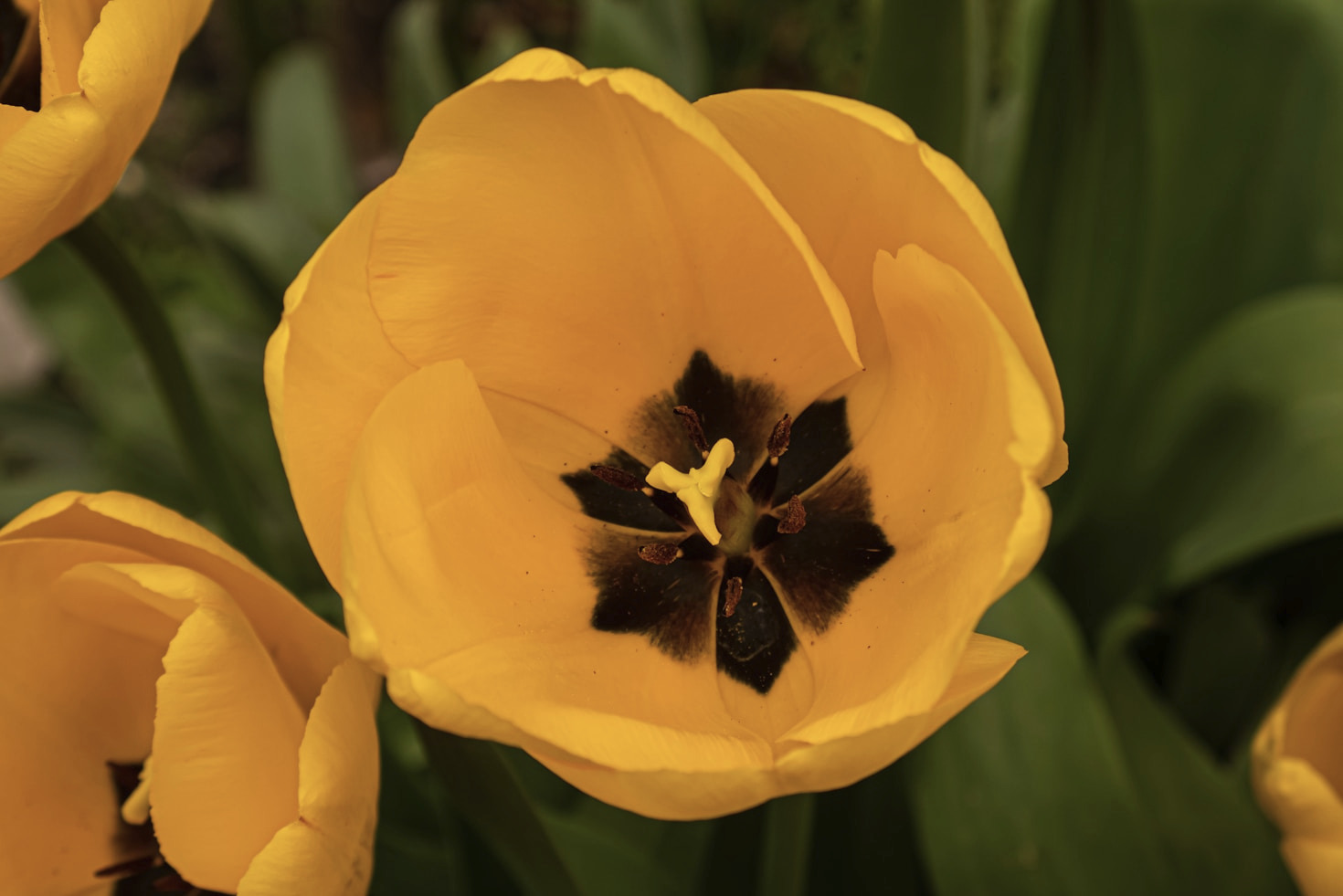 Kasva brändinä: verkkosivujen voimavarat