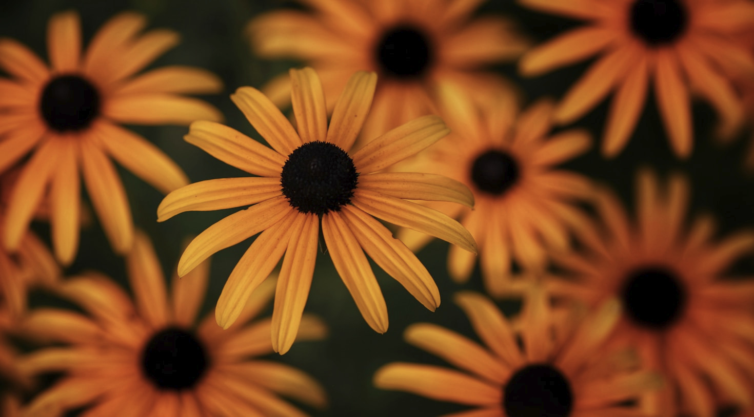 Värit ja symboliikka verkkosivusuunnittelussa